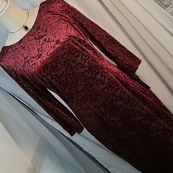 SLNY Deep Red Velvet Dress - Picture 1 of 7